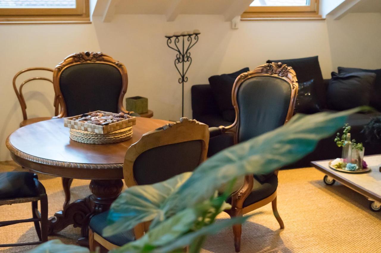 Appartements Atypiques Centre Ville アヌシー エクステリア 写真
