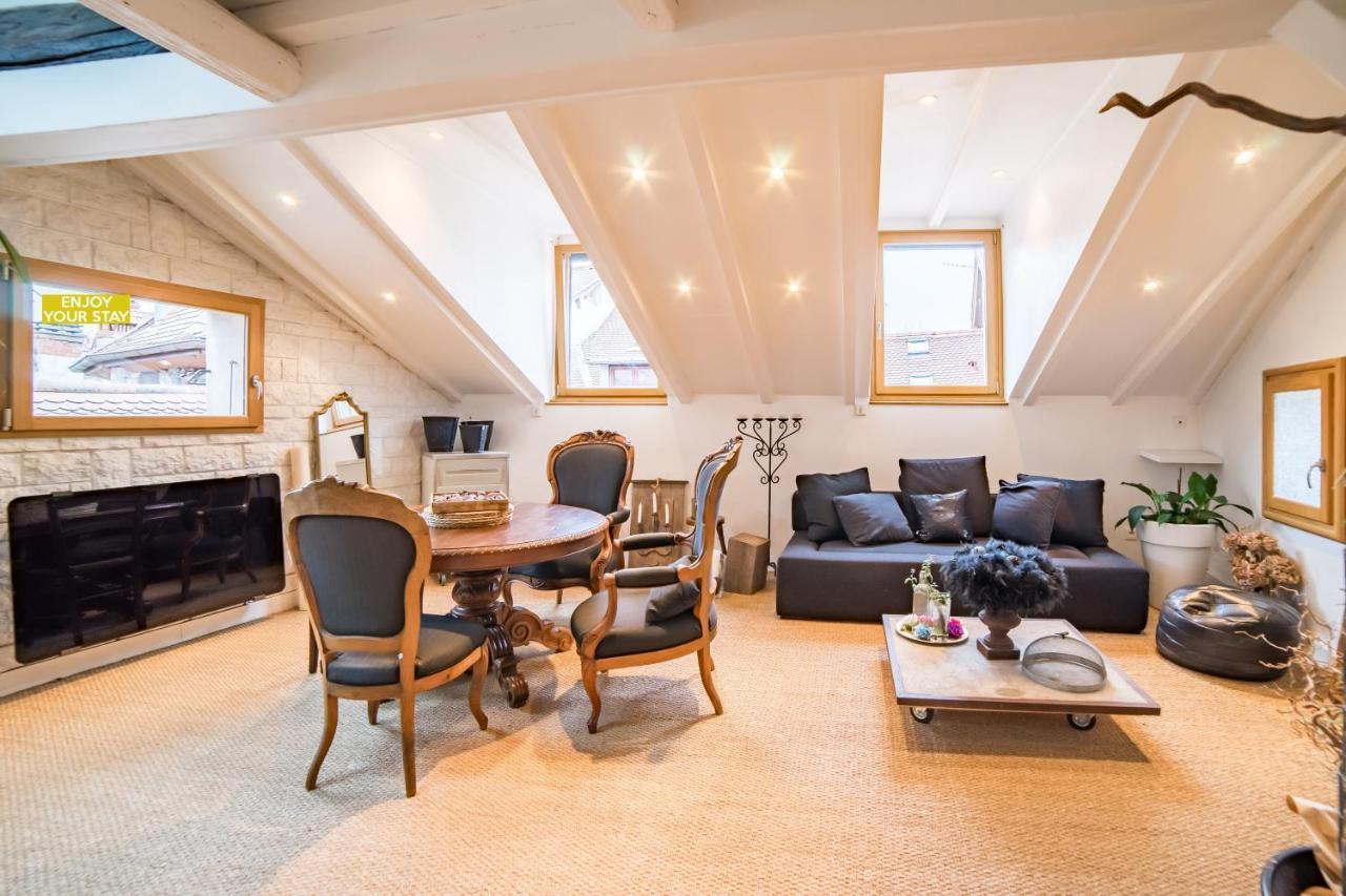 Appartements Atypiques Centre Ville アヌシー エクステリア 写真
