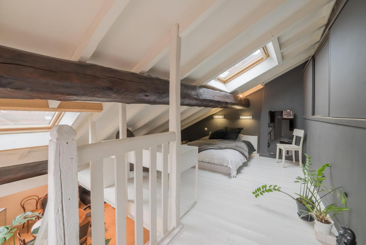 Appartements Atypiques Centre Ville アヌシー エクステリア 写真