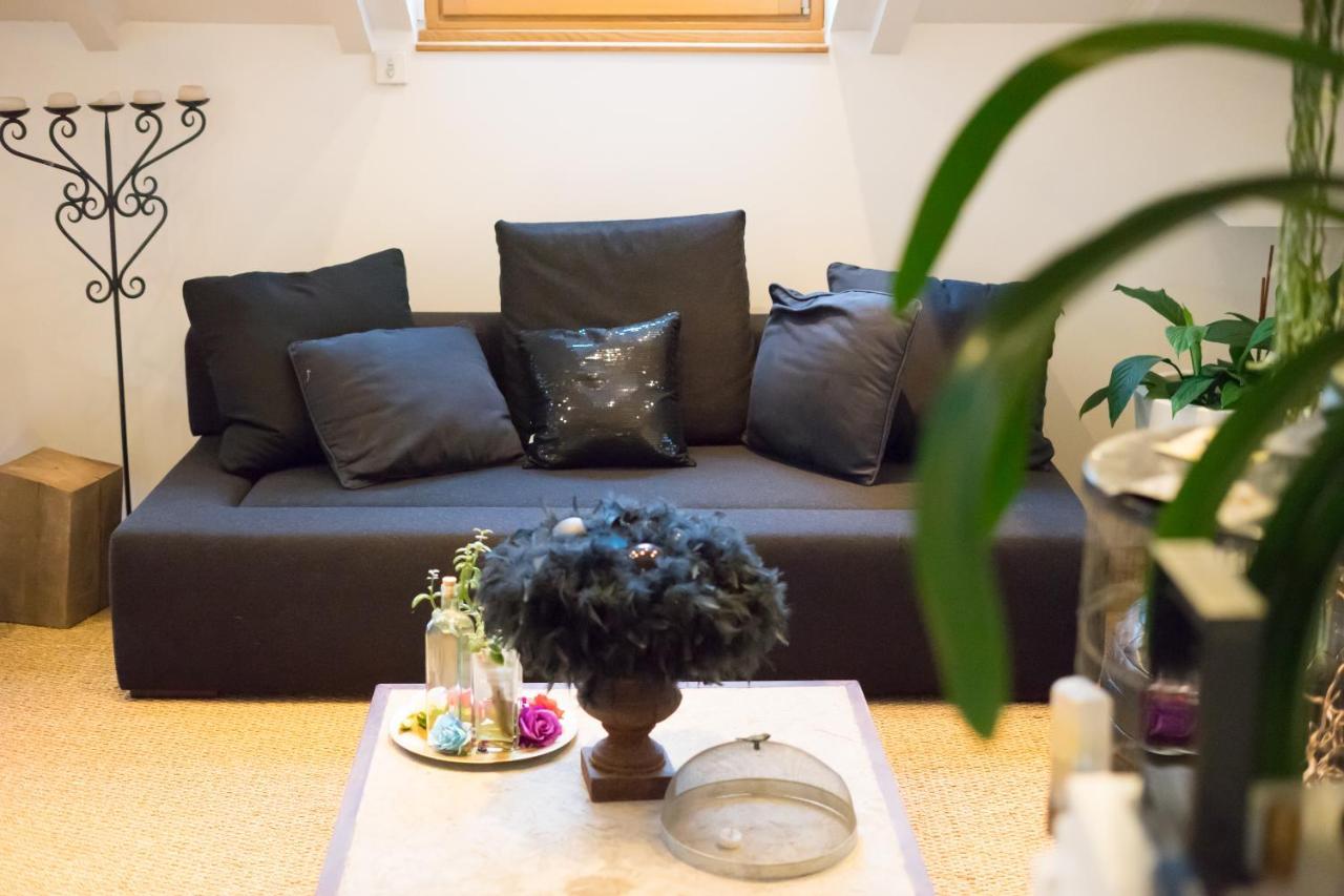 Appartements Atypiques Centre Ville アヌシー エクステリア 写真