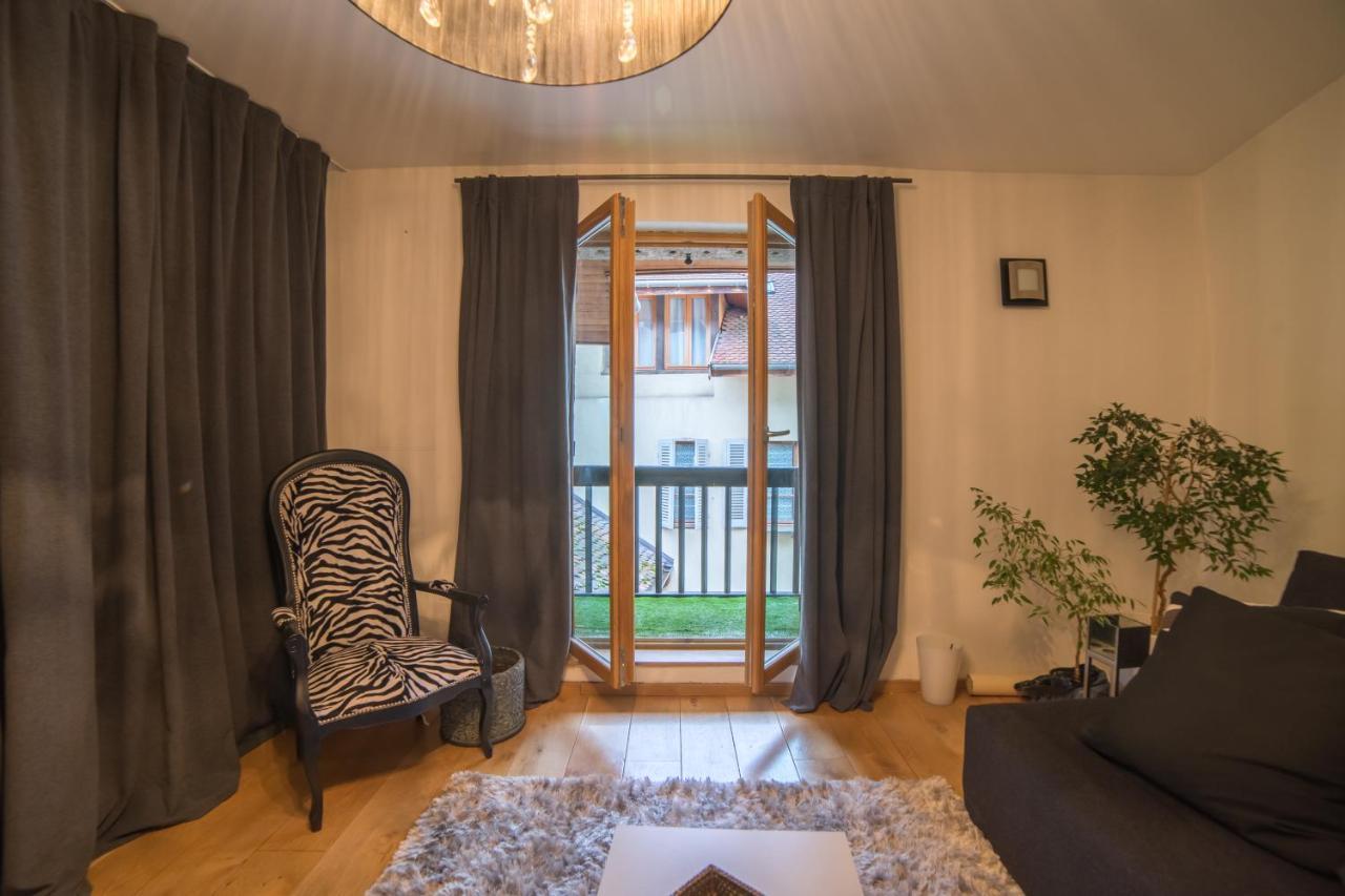 Appartements Atypiques Centre Ville アヌシー エクステリア 写真