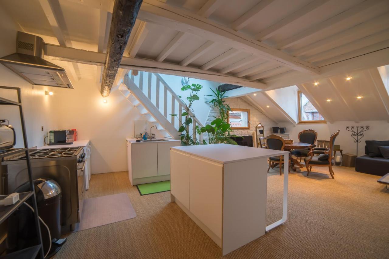 Appartements Atypiques Centre Ville アヌシー エクステリア 写真